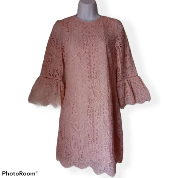 H&M Women's Blush Lace Mini Dress - Picture 4 of 15